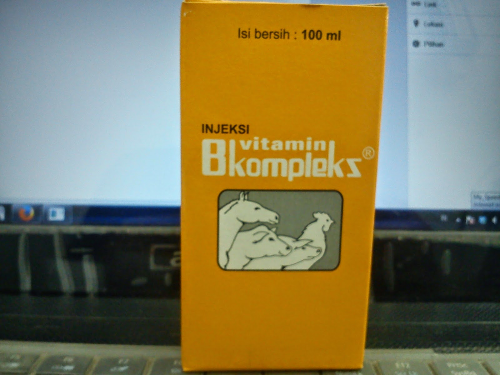 ternak sapi contemporary ternak ayam natural