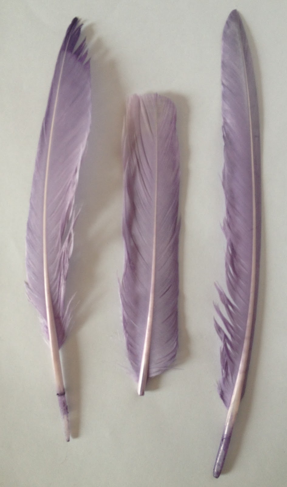 Me and my shadow How to dye feathers