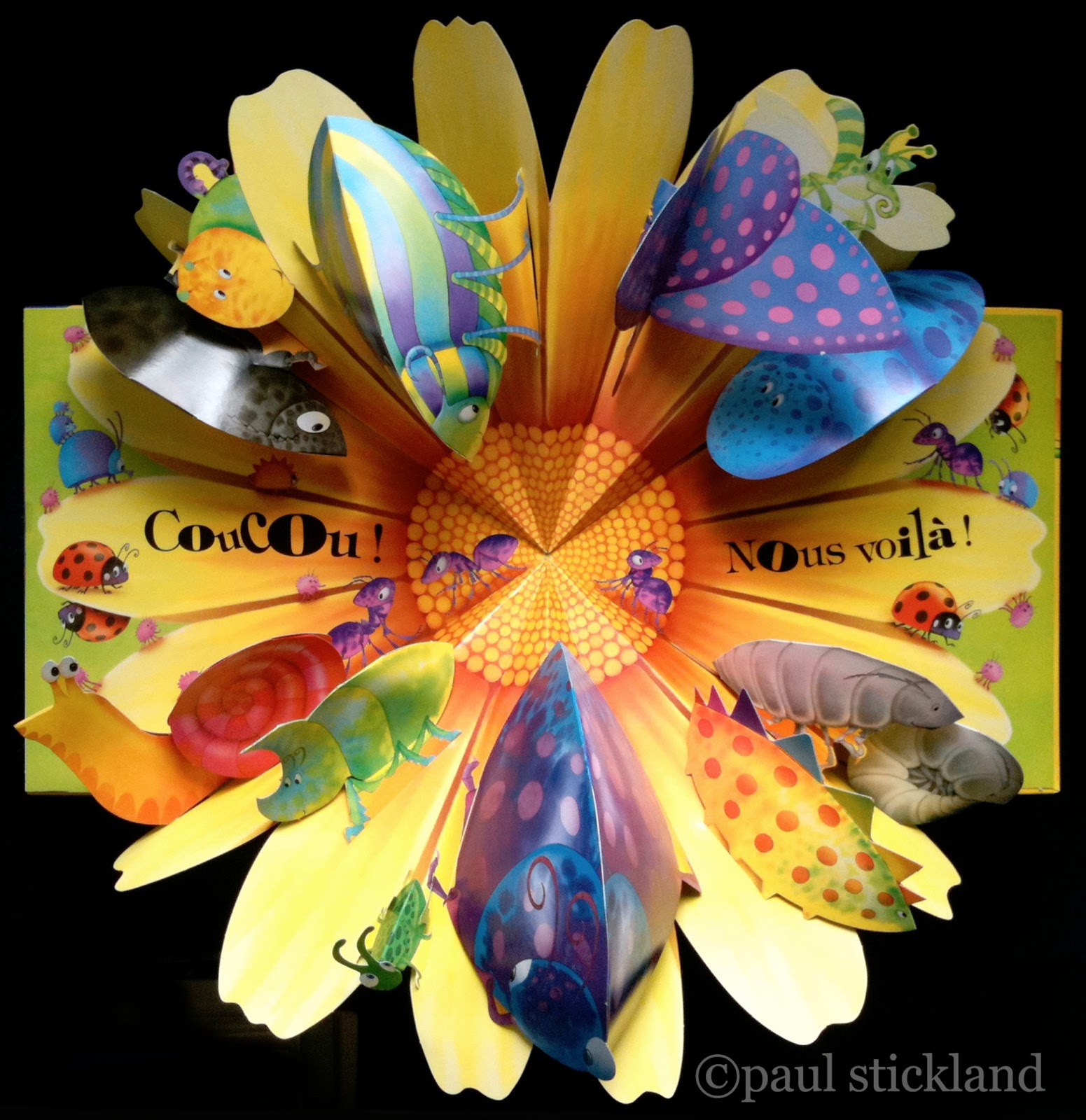 Pop Up Paper The Art of Paper Pop Ups Paul Stickland Big Bug Little