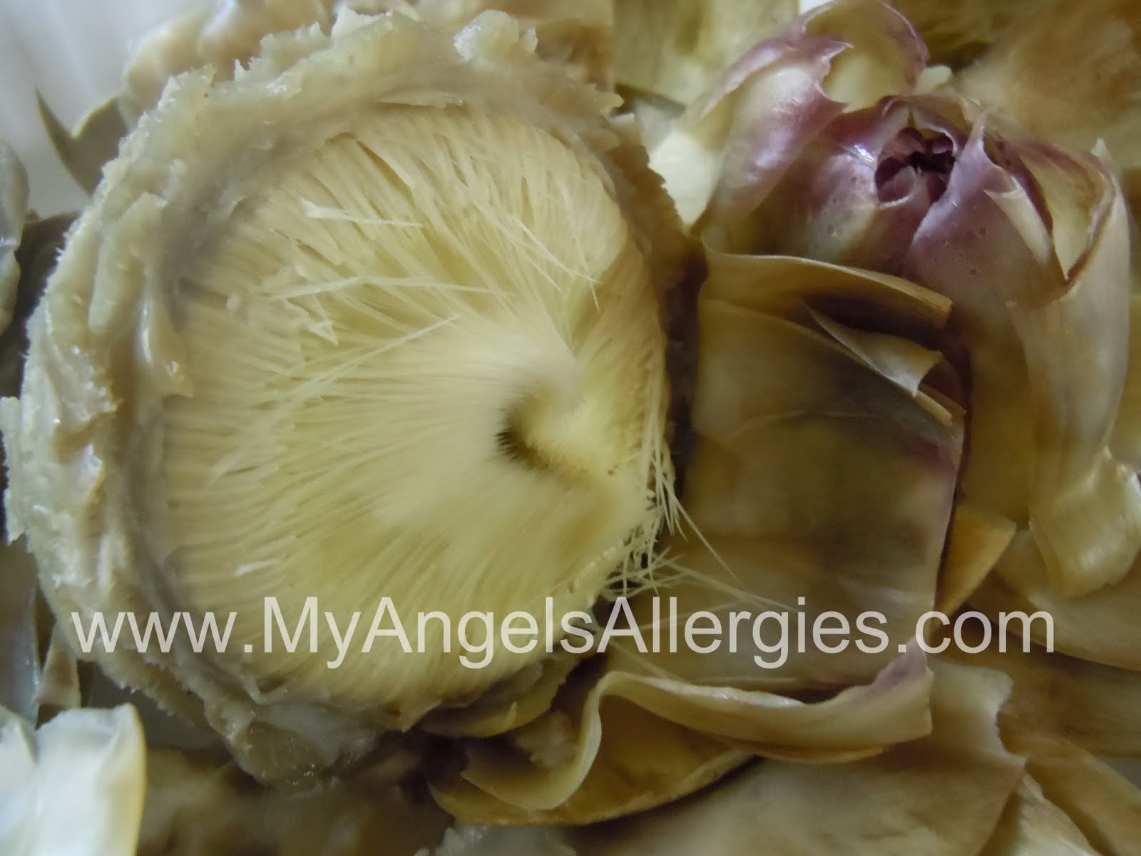 Artichokes How to Eat Them My Angel's Allergies