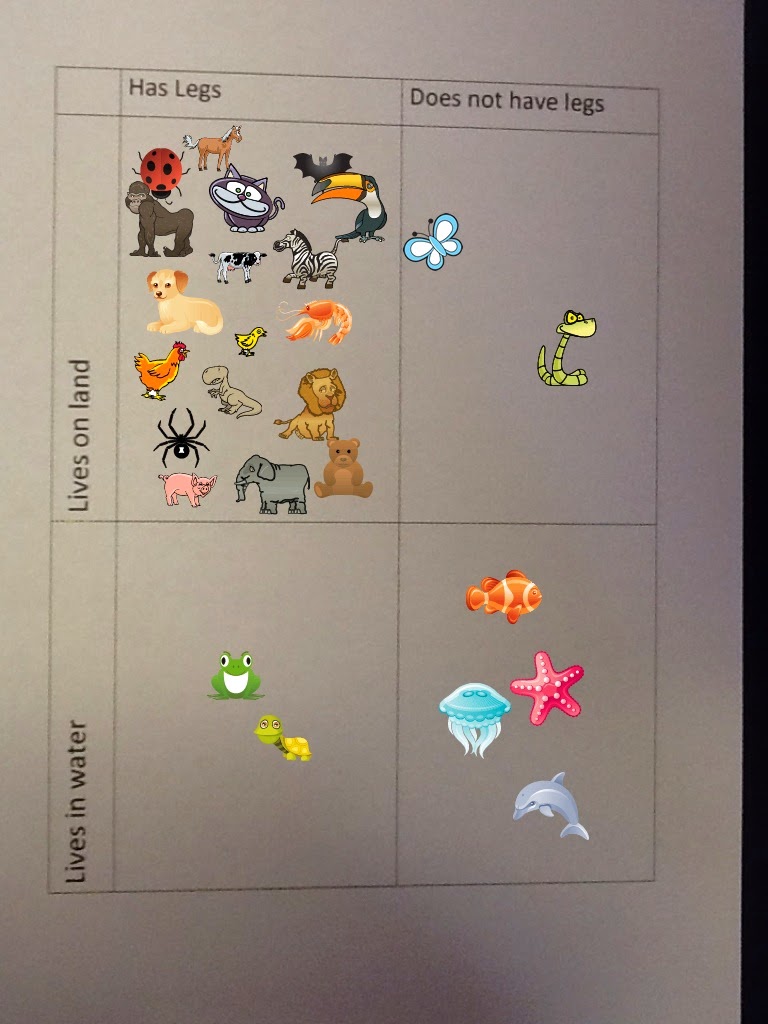 Selfie Carroll Diagrams!