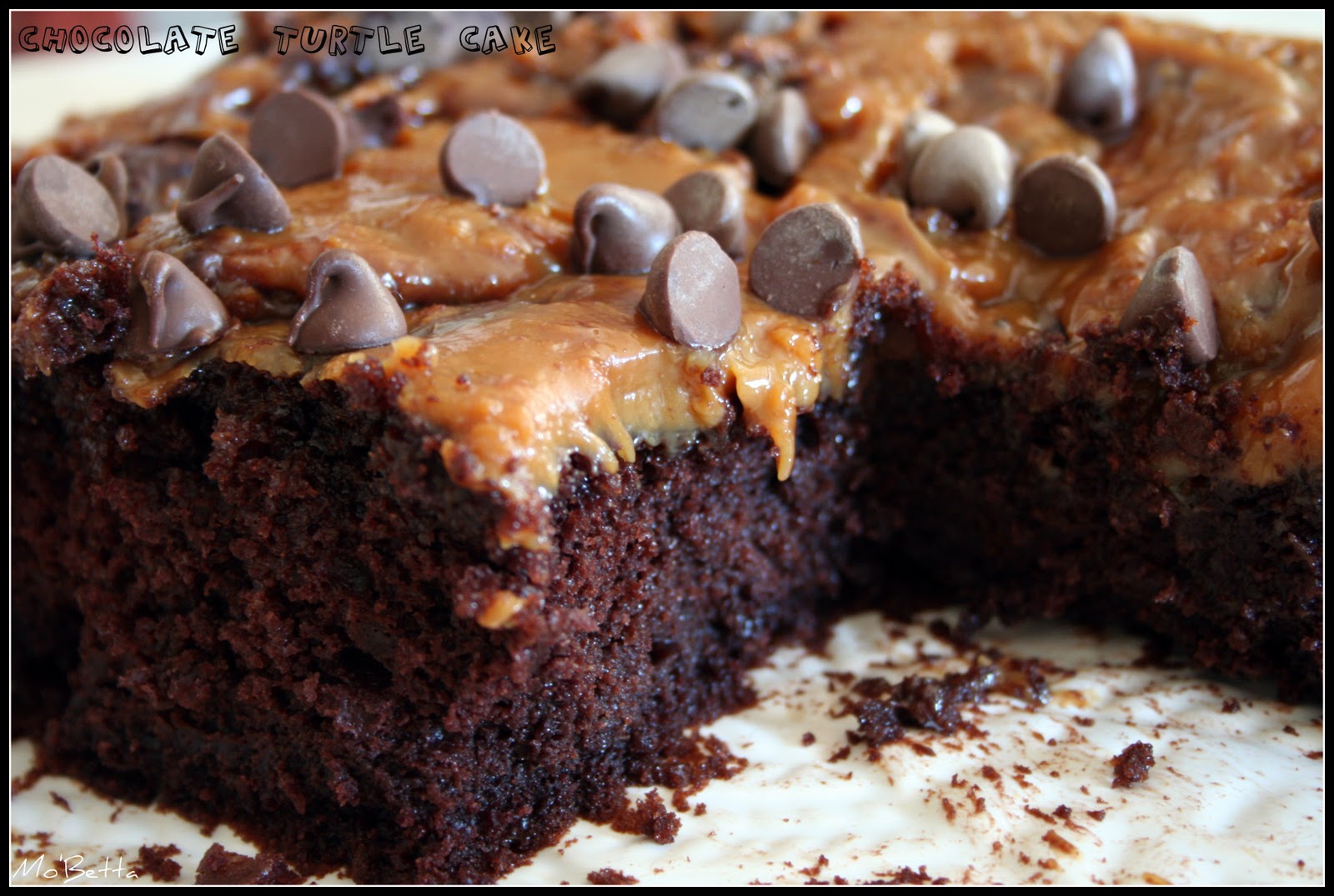 Makin' it Mo' Betta Chocolate Turtle Cake