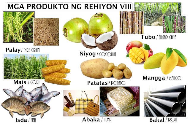 Ilan sa kanilang produkto ay niyog, palay, abaka, asukal, saging at