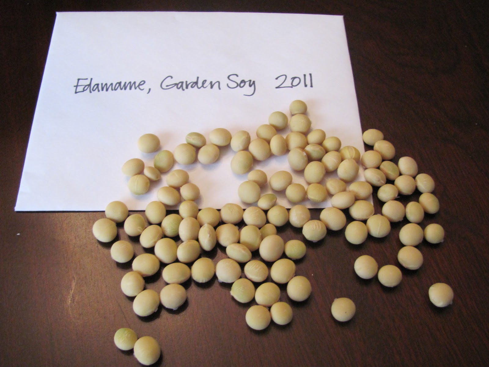 Sweet Domesticity Bean Counter