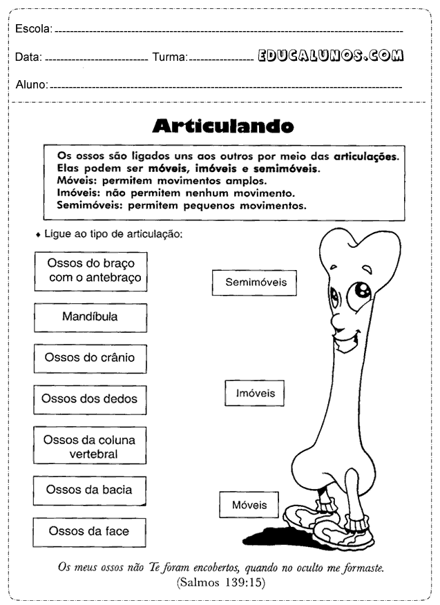 Ligue os tipos de articulações