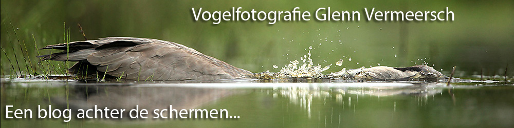 Glenn Vermeersch Natuurfotografie