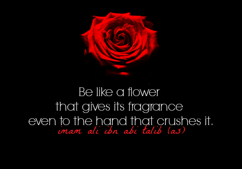 Hazrat Ali Quotes: Be like a flower that gives its fragrance even to