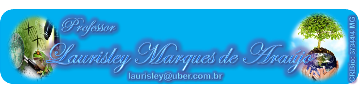 Laurisley Marques