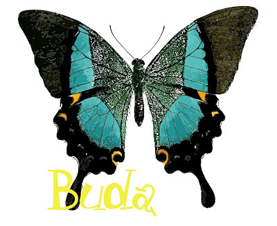 Borboleta de Buda Borboleta de Buda
