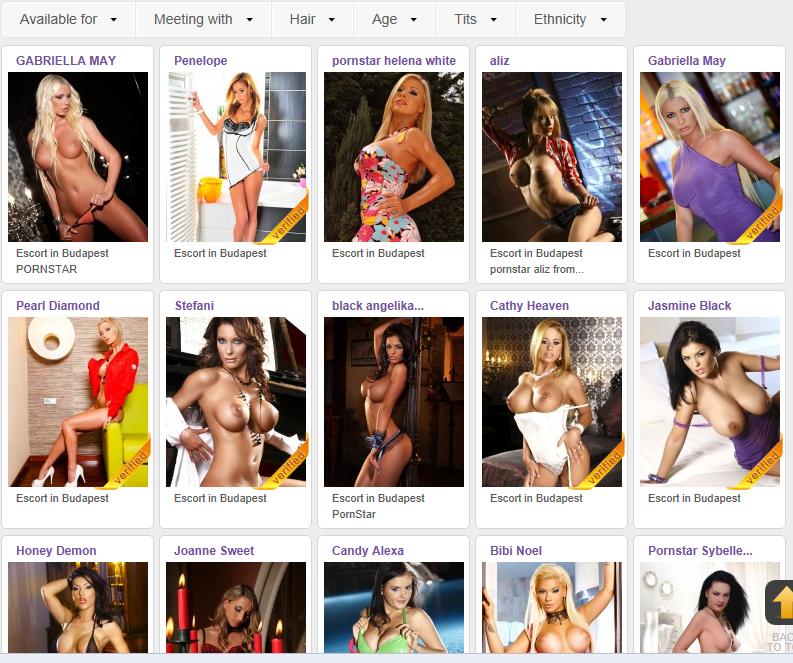 euro escort pornstar escorts euro escort pornstar escorts