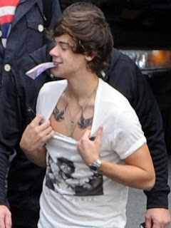 Harry Styles tattoo 2013
