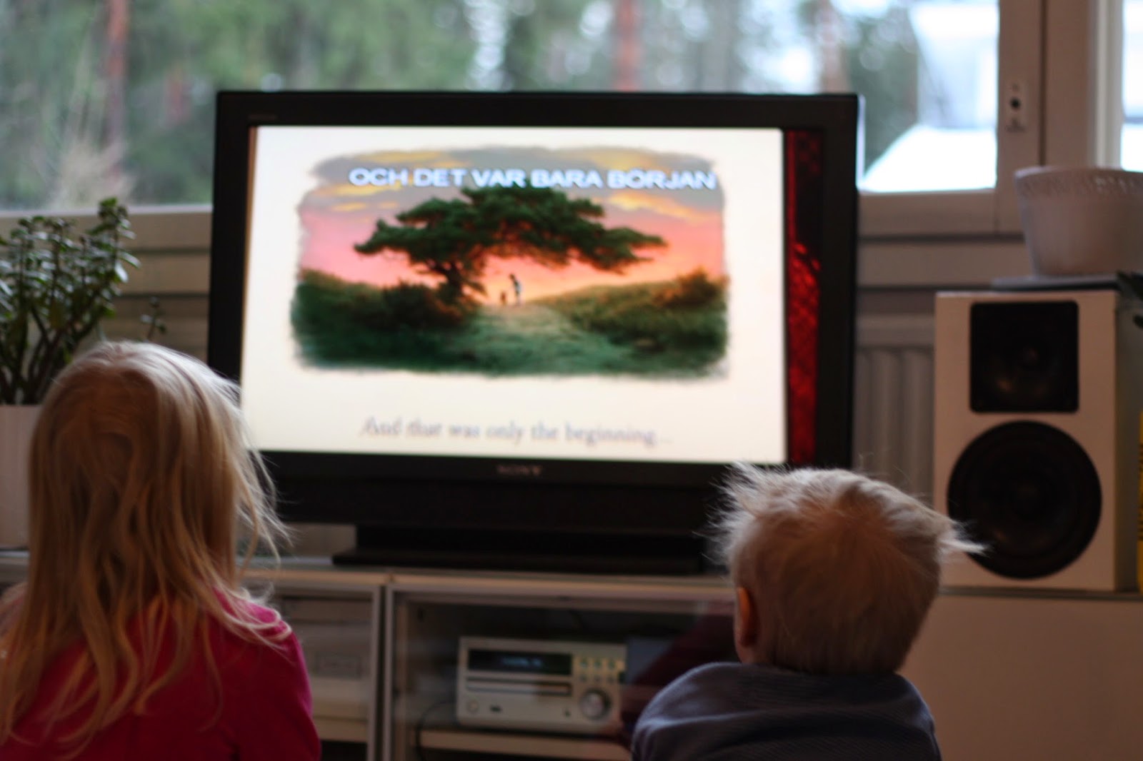 Söta drömmar: februari 2015