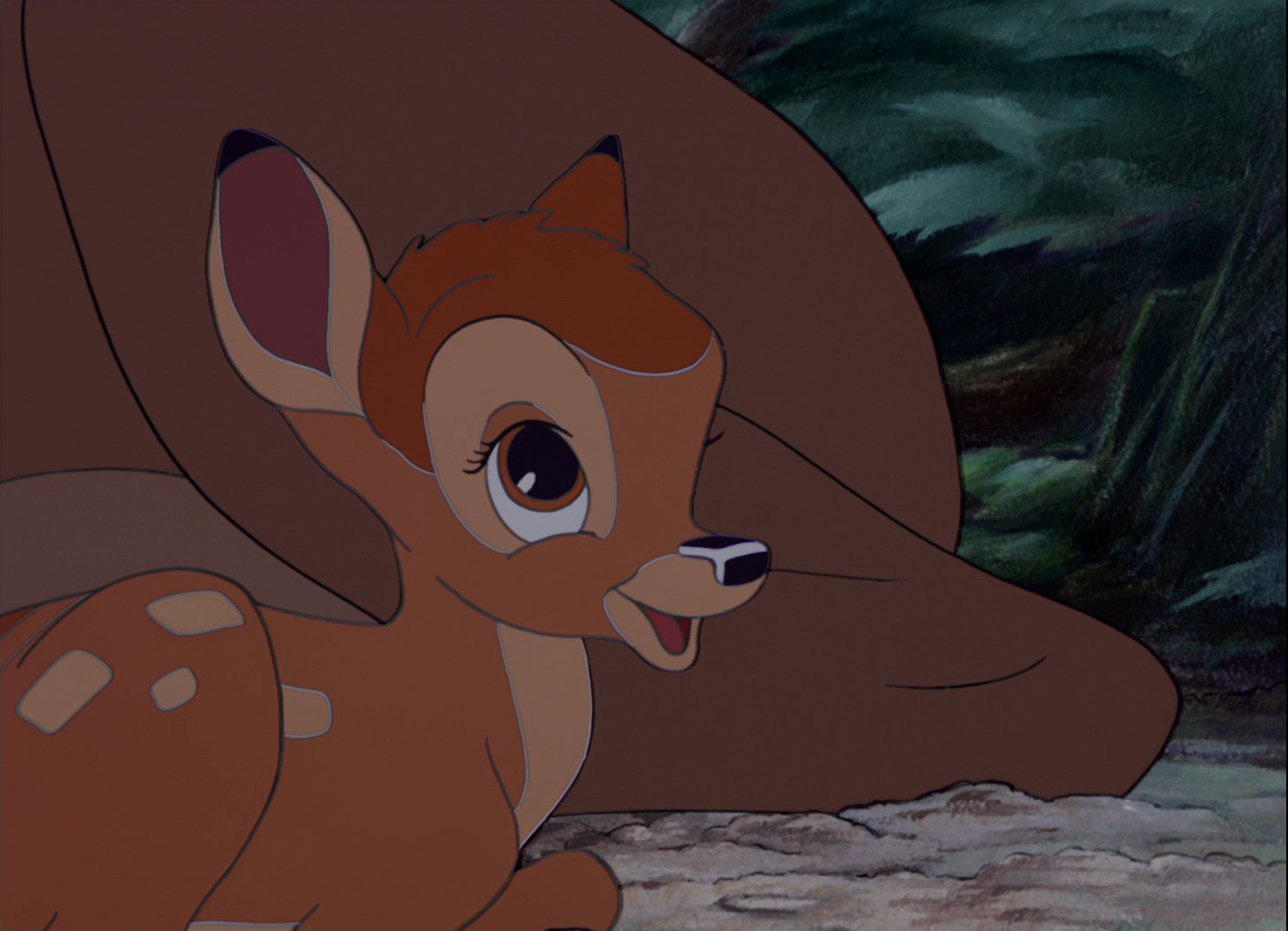 Bambi baby discount coupons