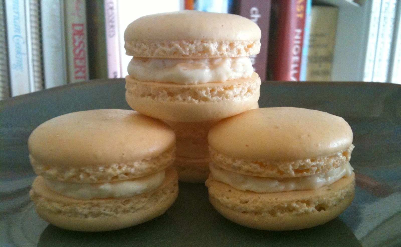 Heidi's Mix Toasted Coconut Macarons