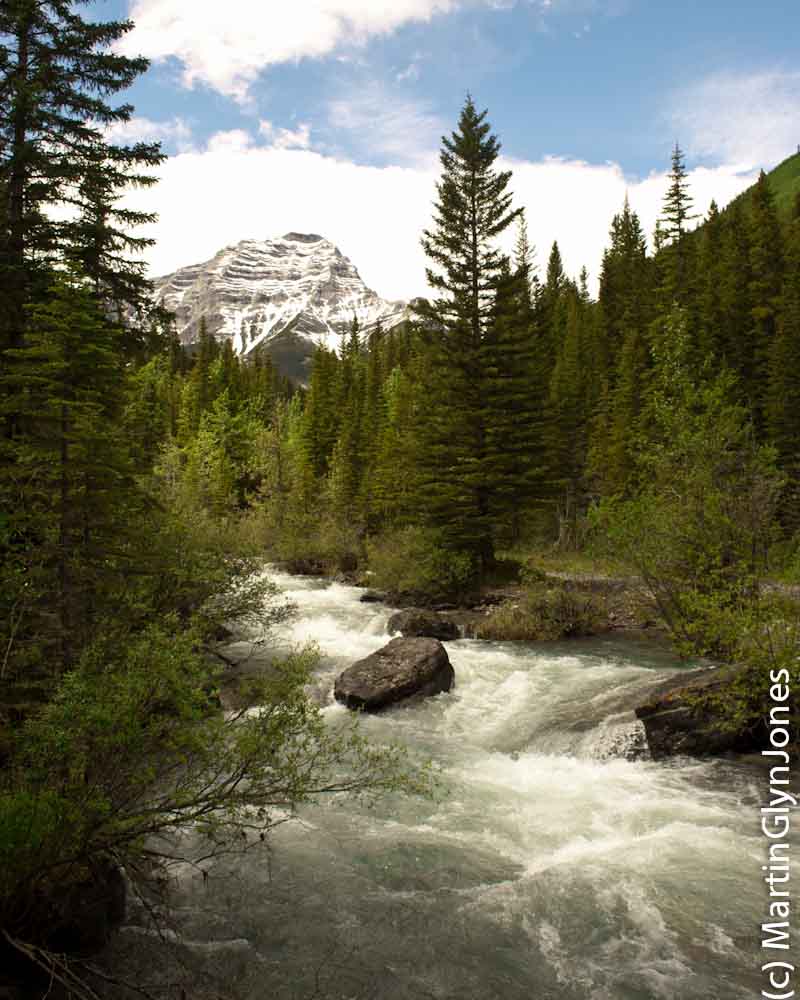 Kananaskis Village Hiking at Ribbon Creek Day use area Marty's Road