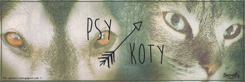 Psy & Koty