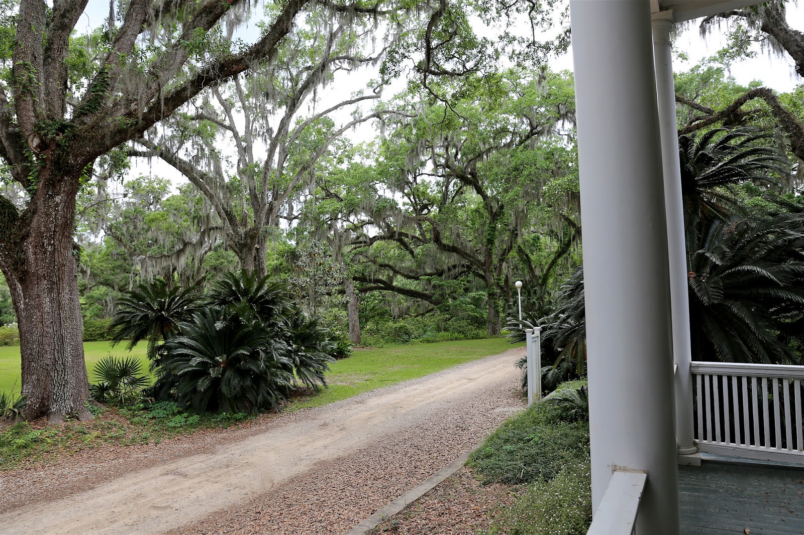 Sweet Southern Days Goodwood Museum & Gardens