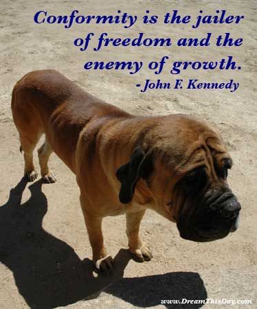 All photos gallery: Enemy quotes, sleeping with the enemy quotes