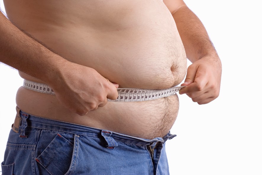 Mengenal Pemicu Obesitas Mengenal Pemicu Obesitas