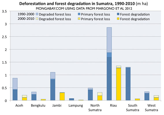a graphical look at the sumatran rainforest destruction the deforestation graphs and charts