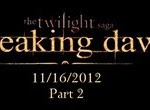 THE TWILIGHT SAGA BREAKING DAWN PART 2.jpg