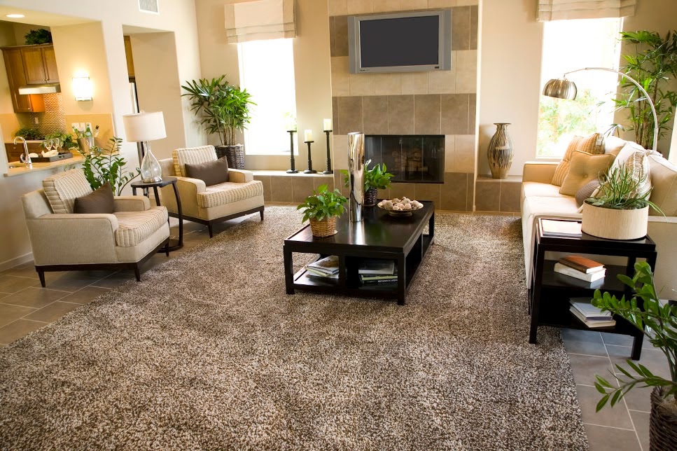 Deep Clean Your Carpet Naturally · Triple S Carpet & Drapery Cleaners