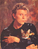 El gato de David Bowie