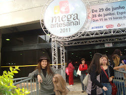MEGA 2011