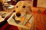 RECOMIENDANOS UN LIBRO