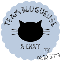 Team blogueuse à chat