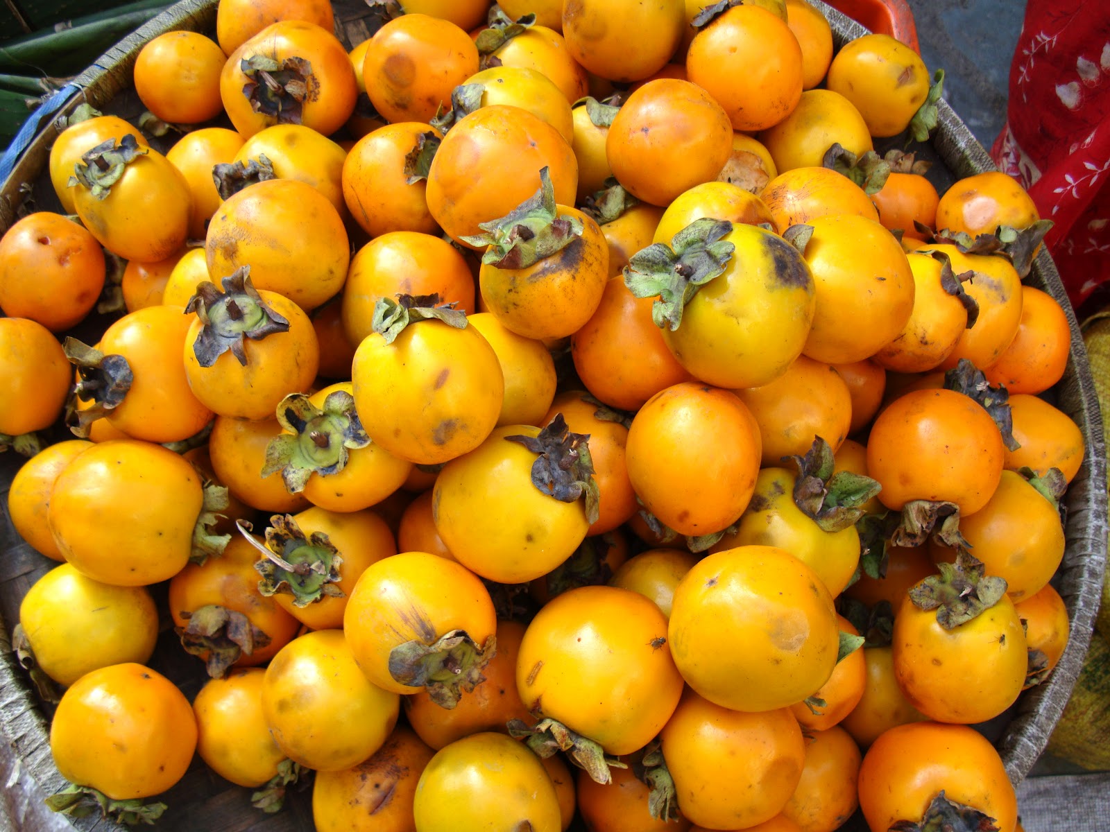 Taste of Nepal Lists of most common fruits of Nepal (NepaliEnglish)