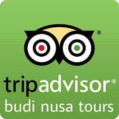 Find me on TripAdvisor