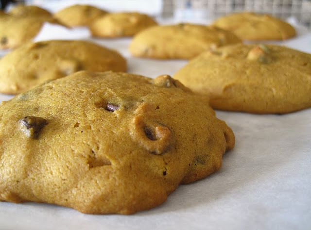 Healthy Natural Pumpkin Chocolate Chip Cookies