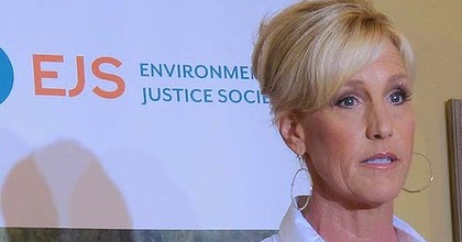 Essays on erin brockovich dealing with ethics