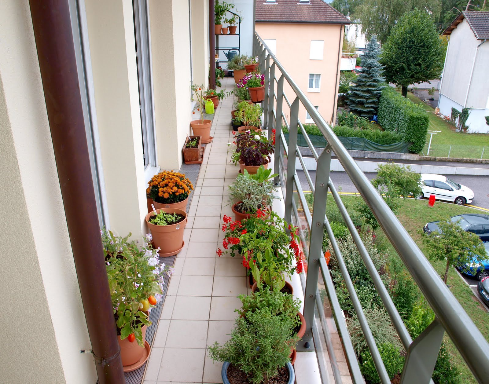 ... me a strong love of gardening, she has put her balcony to good use