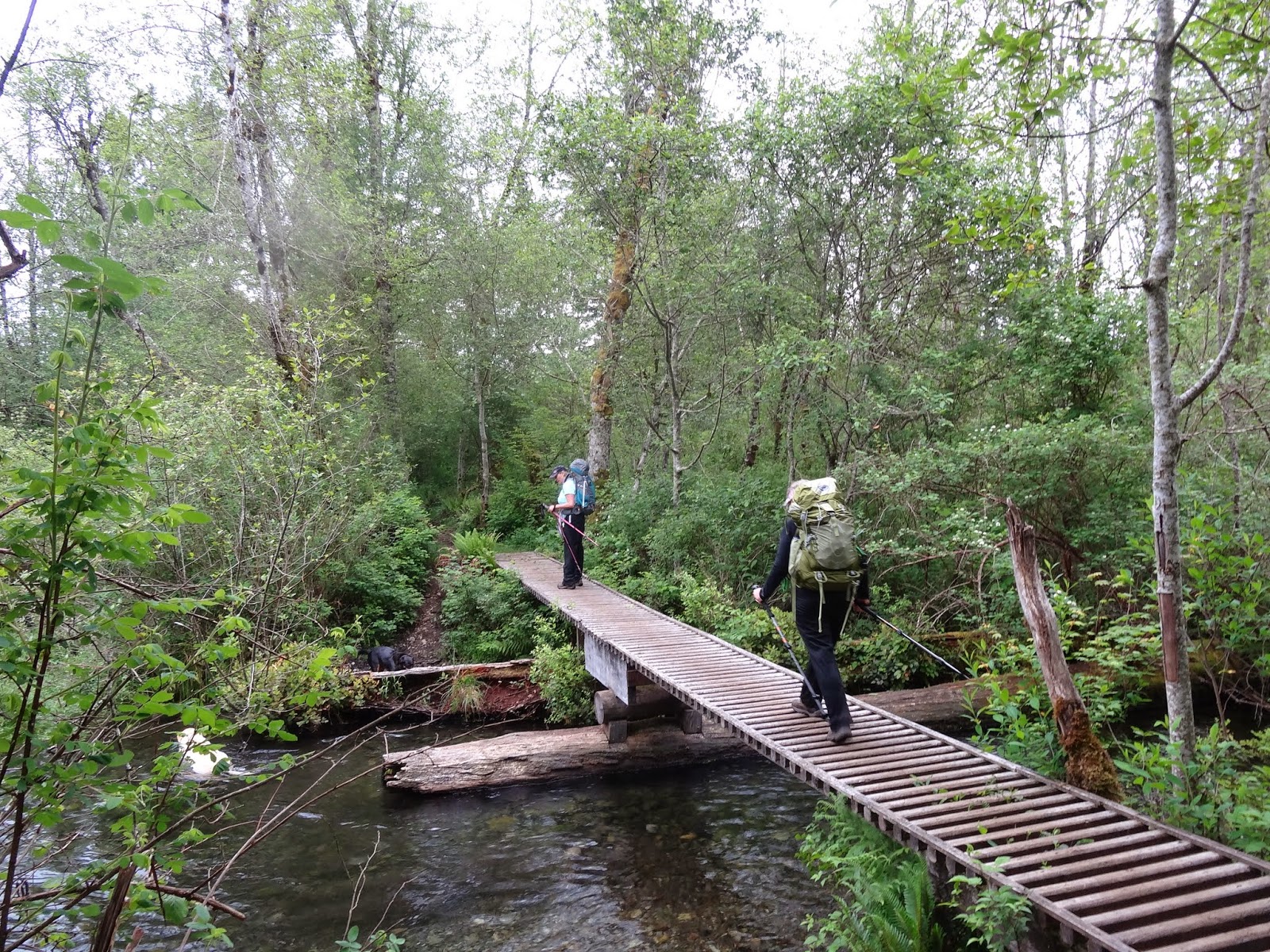Footloose on the trail May 2014