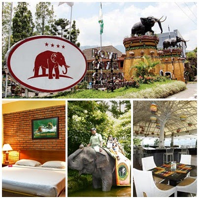 Wisata ke Kota Bogor dan Puncak yang Sejuk: Menginap 'Back ...