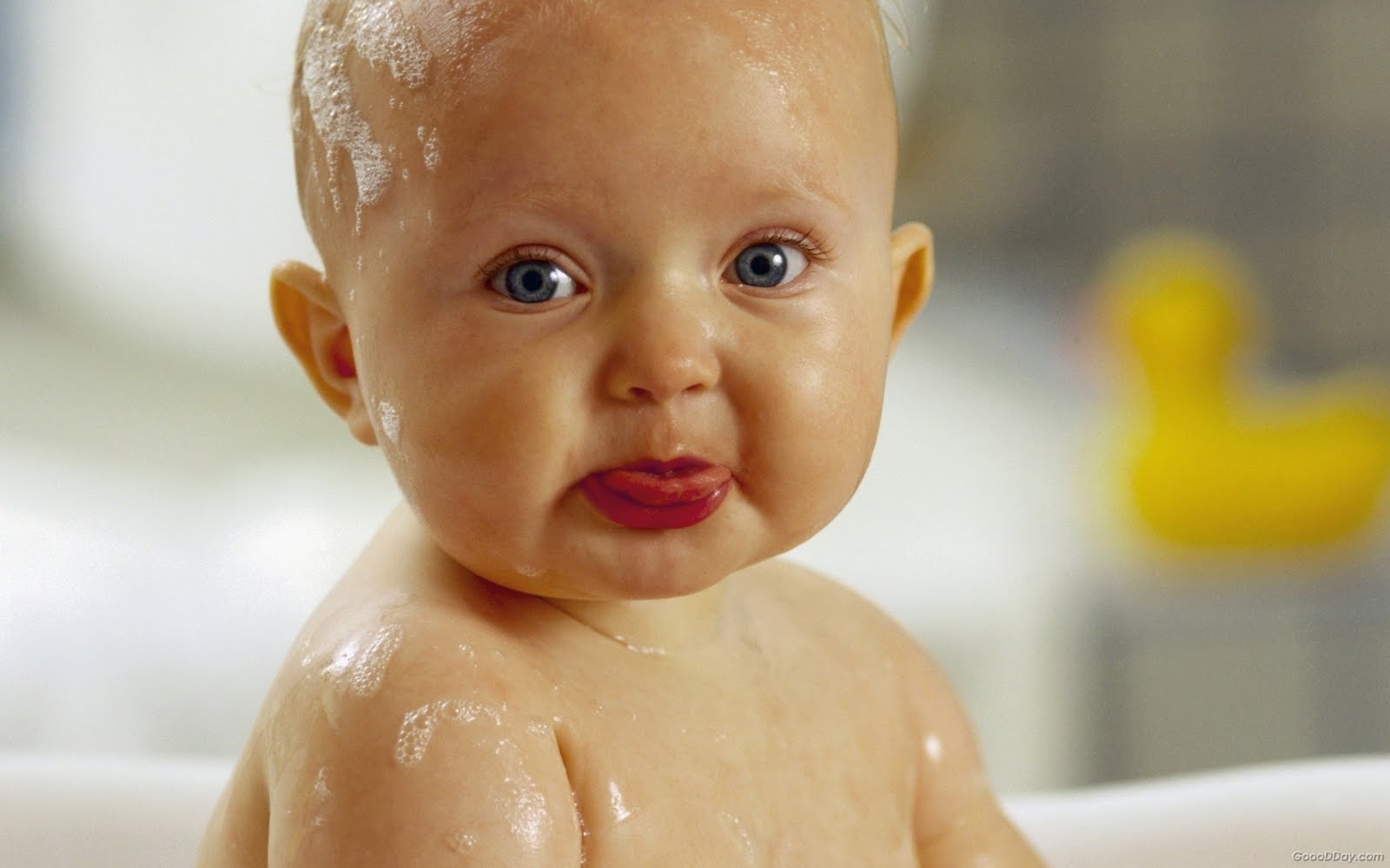 http://4.bp.blogspot.com/-GAJYI4w9TOk/TgIInAm7MeI/AAAAAAAAALk/MzwEhgQ1tXw/s1600/Baby%252BWallpapers%252B2.jpg