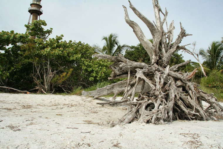 sanibel island