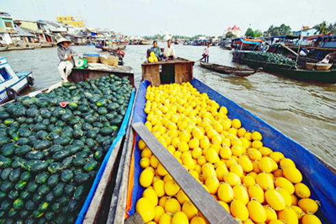 Chợ nổi Cái Bè - Tiền Giang Chợ nổi Cái Bè - Tiền Giang