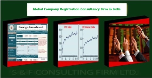 S & F CONSULTING FIRM LTD