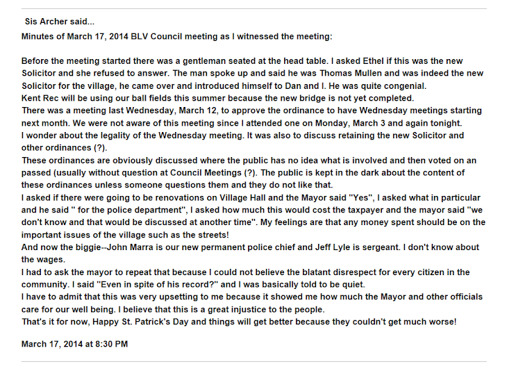 The Real 3/17/14 Brady Lake Village council meeting minutes.