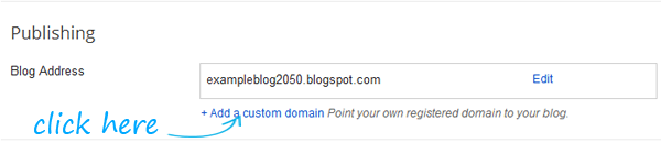 Enter the Custom Domain Name You Have Purchased For Your blog Enter the Custom Domain Name You Have Purchased For Your blog