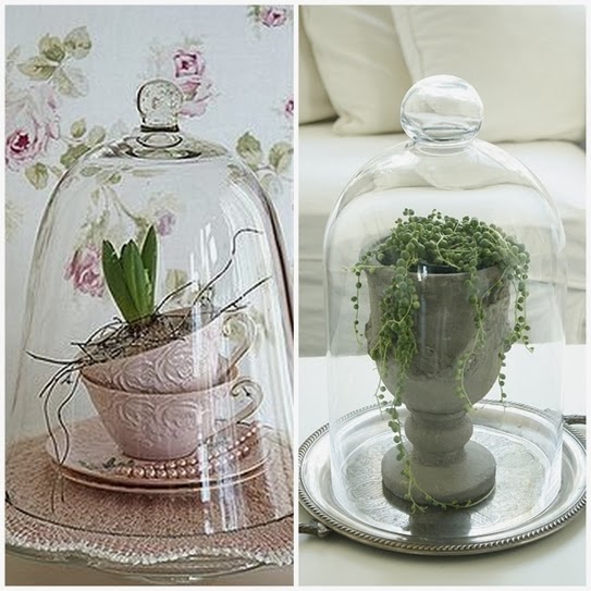 Lee Caroline A World of Inspiration Glass Cloche Styling Ideas
