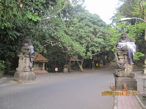 Road leading to "Sacred Monkey forest".