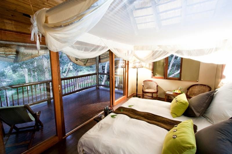 Zululand Tree Lodge Rooms