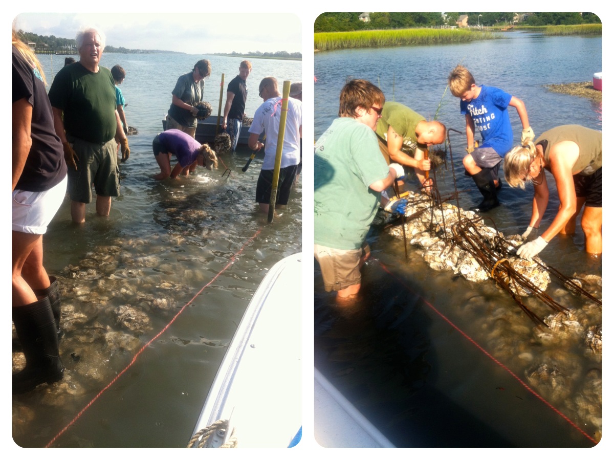 Building an Oyster Reef │fishsmith3's Blog