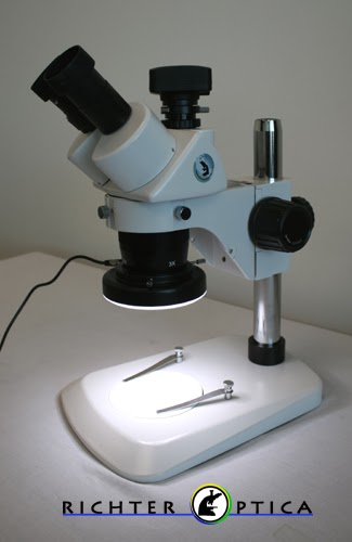 S2 Stereo Microscope Image