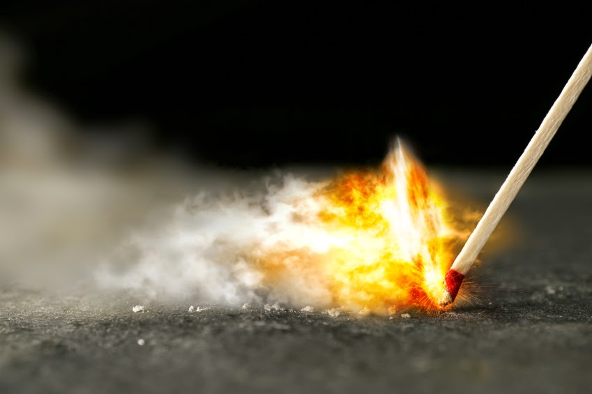 The Nerd Bird You Can't Start A Fire Without A Spark