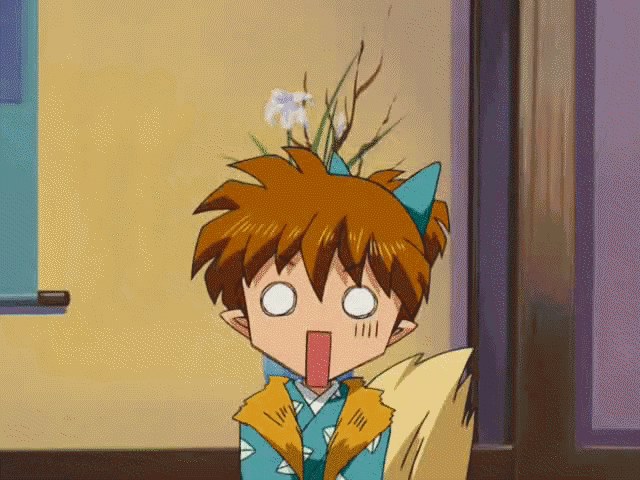 Résultat de recherche d'images pour "gif shippo"